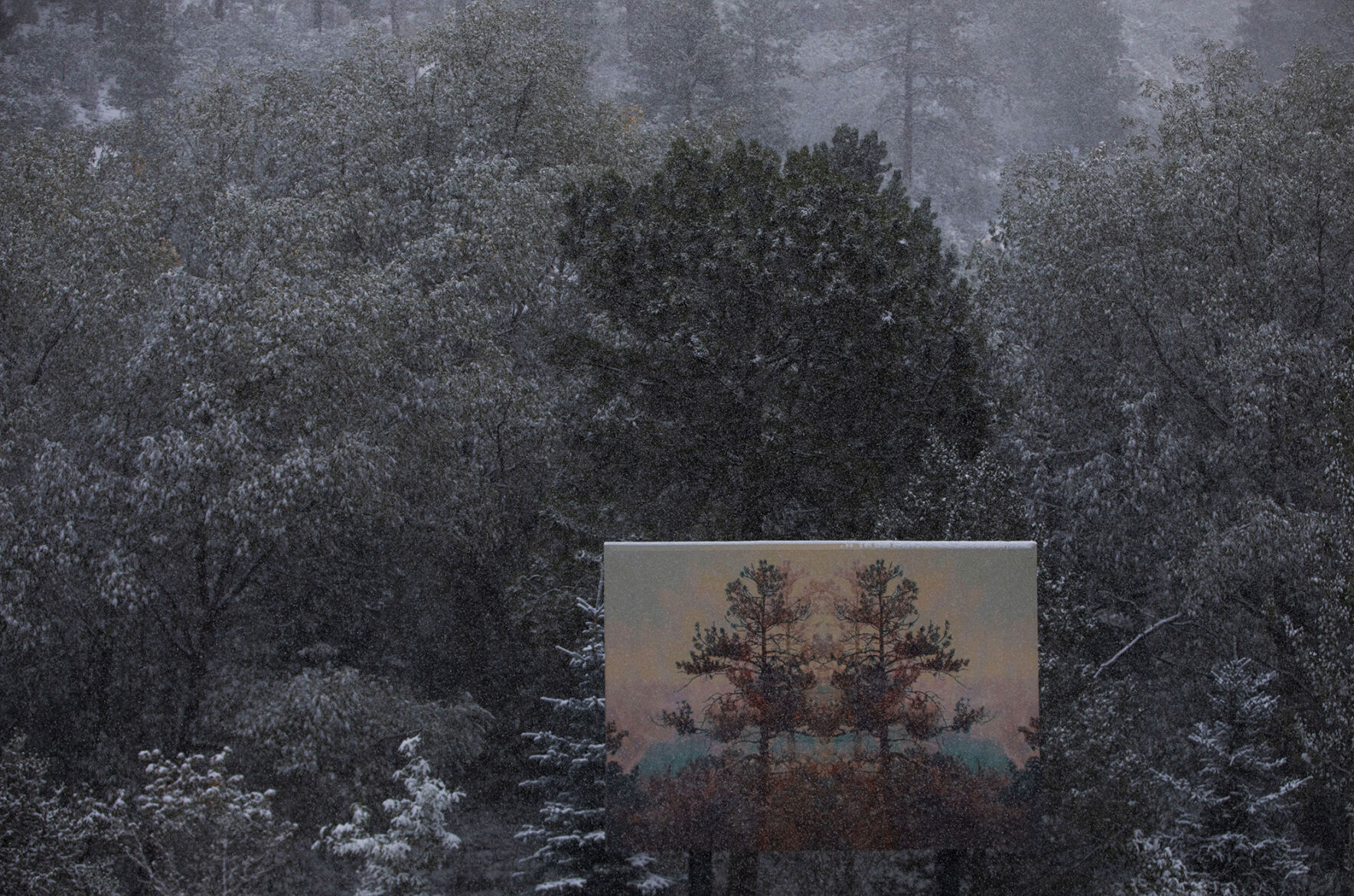 090920-news-earlysnow 02.jpg